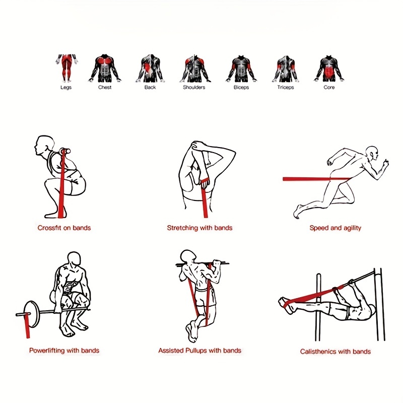 Banda elástica de ejercicio de - Sports Equipment Used reseña y precio